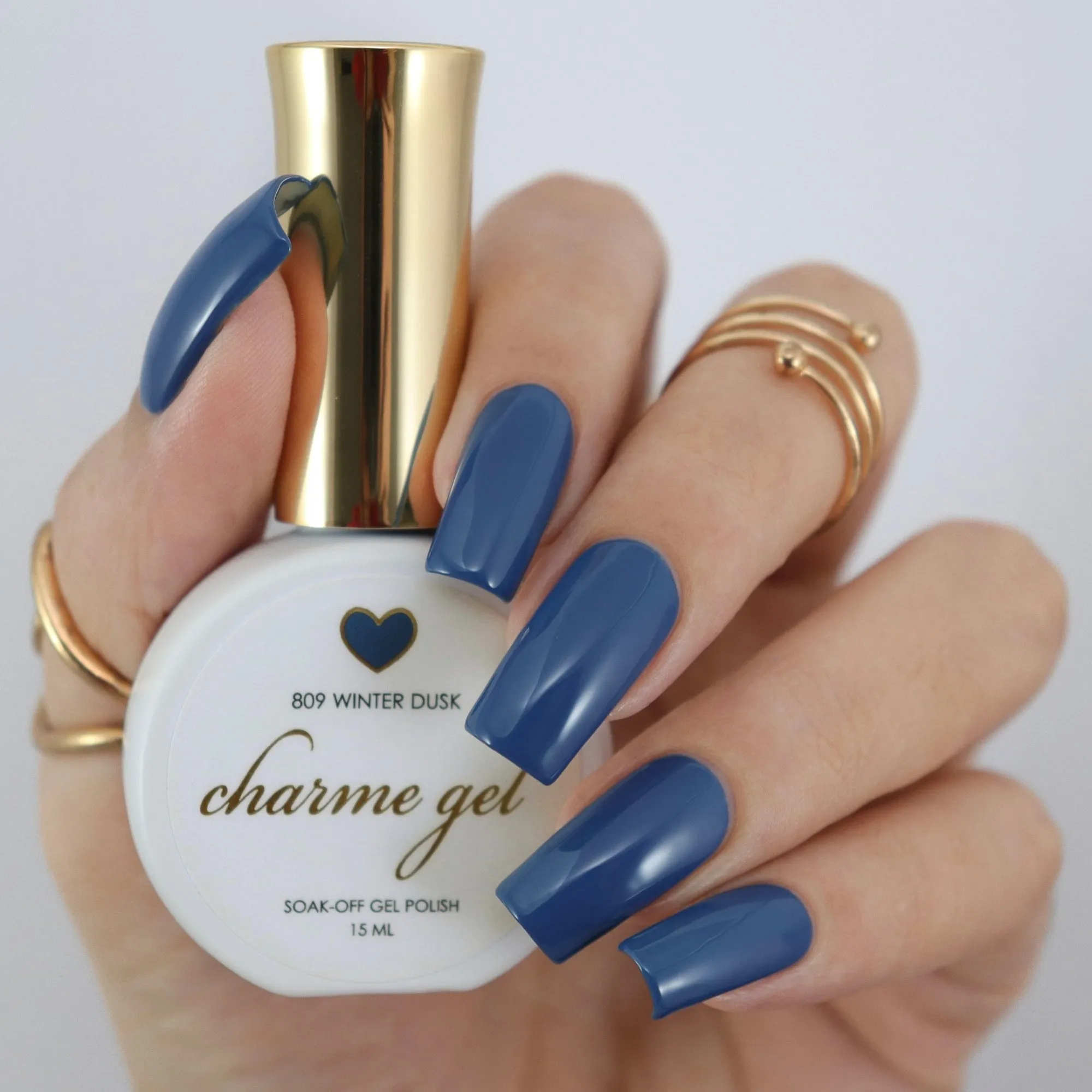 Charme Gel / 809 Winter Dusk