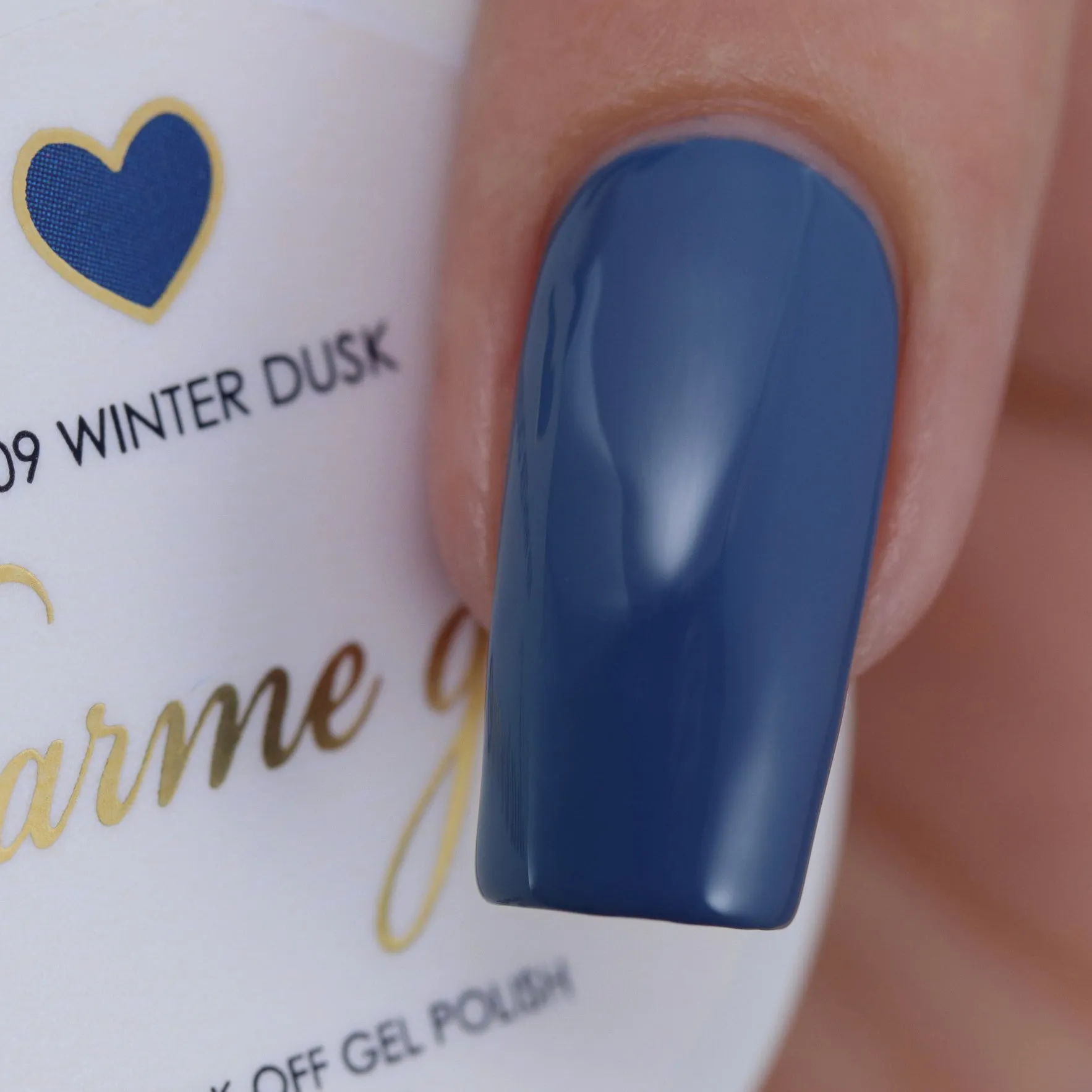 Charme Gel / 809 Winter Dusk