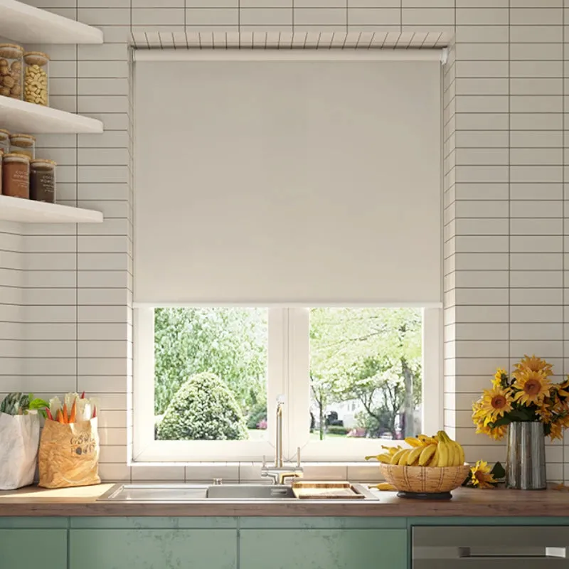 Hayden Blackout Polyester Waterproof Roller Shade